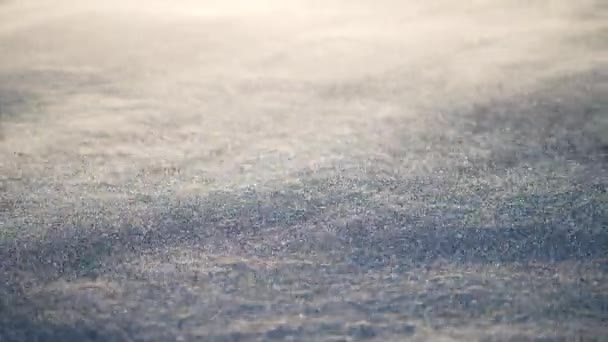 Sneeuw in slow motion, Bevroren winteropname, Koude poolcycloon — Stockvideo