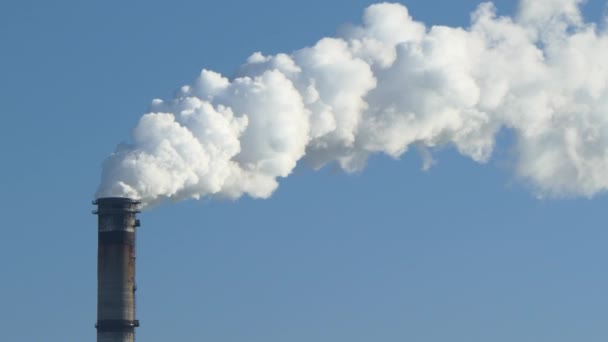 Problemi ambientali. Tubi di inquinamento del camino con fumo grigio proveniente dalla centrale elettrica a carbone . — Video Stock
