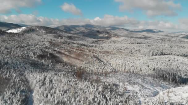 Zimní les v horách, Letecká zmrzlá zasněžená krajina — Stock video