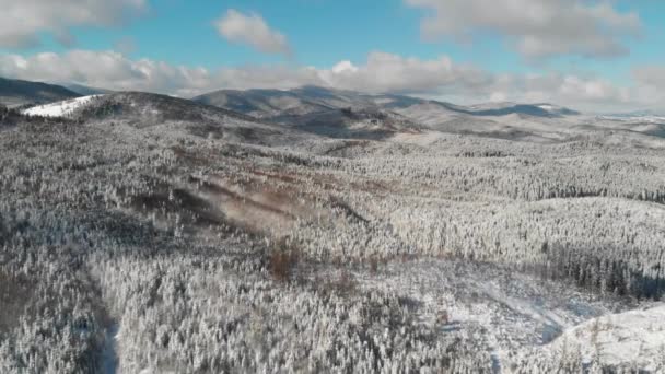 Winterbos in de bergen, Bevroren besneeuwd landschap — Stockvideo