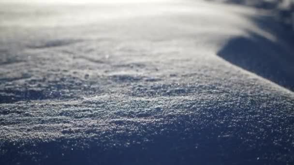 Ciclón polar frío, Nieve en cámara lenta, Invierno congelado — Vídeos de Stock