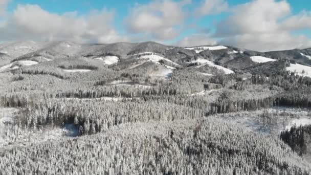 Winterwald in den Bergen, Luftgefrorene verschneite Landschaft, verschneite Jahreszeit — Stockvideo