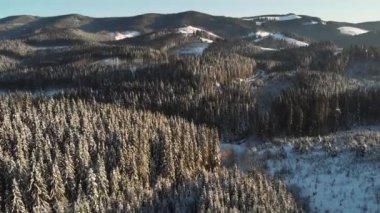 Kışın Orman, Hava Donmuş Karlı Manzara, Karlı Mevsim