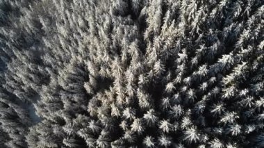 Dağ 'da kış ormanı, Hava Donmuş Karlı Manzara, Kar Mevsimi