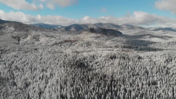 Zimní sezóna zasněžených horských lesů letecký snímek — Stock video