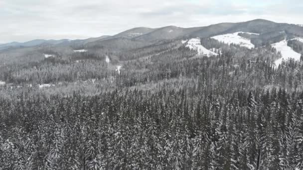 Temporada de invierno, Bosque nevado de montaña, hermosa toma aérea — Vídeos de Stock