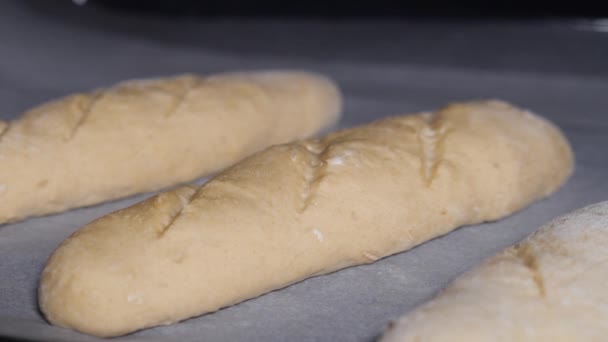 Timelapse de cocción de pan, Fabricación de alimentos, pan y producción ecológica, Panadería — Vídeo de stock