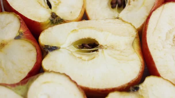 Red apple drying process. Decay time lapse shot, Fruit quickly become small and wrinkled — 비디오