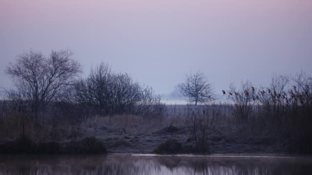 Ochtendmist op het meer bij zonsopgang. Misty Landscape on River, Natuurlijke concept — Stockvideo