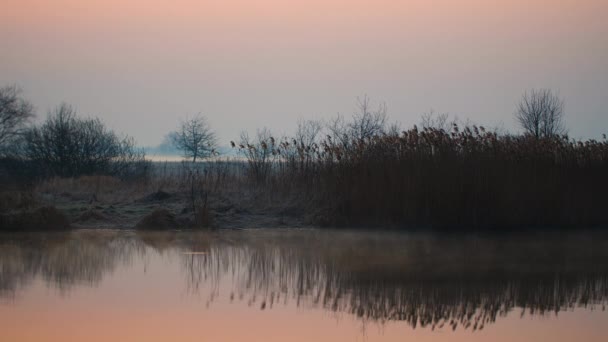 Névoa da manhã no lago ao nascer do sol. Paisagem nebulosa no rio, conceito natural — Vídeo de Stock