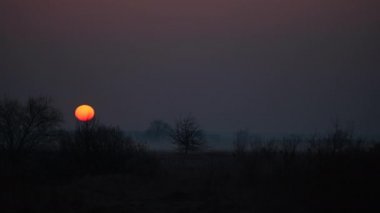 Sunrise Timelapse Ağaçlar ve Dramatik Puslar