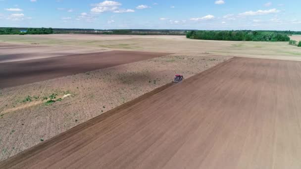 Aerial view traktor szántja a földet, feldolgozása a területen vetés előtt, tavasz — Stock videók