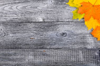 Sarı sonbahar arka plan ve