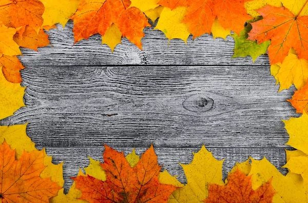 Sarı sonbahar arka plan ve