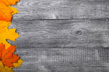 Sarı sonbahar arka plan ve