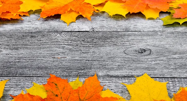 Sarı sonbahar arka plan ve