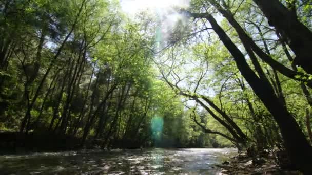 Agua que fluye sobre las rocas — Vídeo de stock