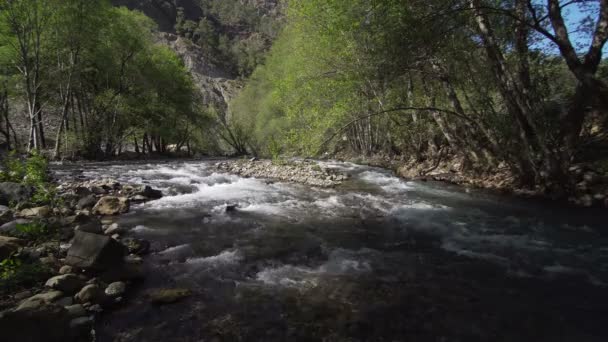 Acqua che scorre sulle rocce — Video Stock