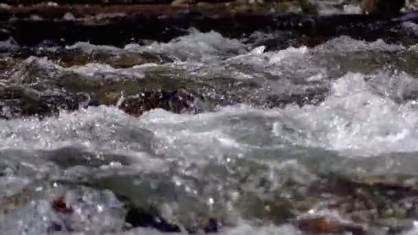 Agua que fluye sobre las rocas — Vídeo de stock