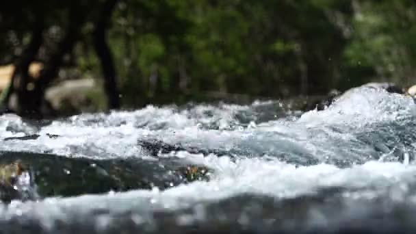 Wasser fließt über die Felsen — Stockvideo