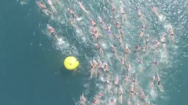Úszás verseny antenna — Stock videók