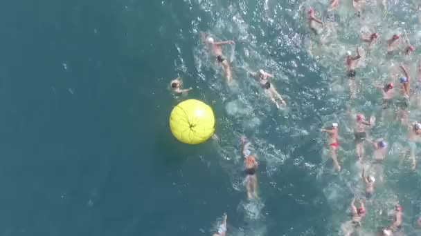 Natación competencia aérea — Vídeo de stock