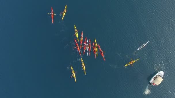 海上皮划艇鸟瞰图 — 图库视频影像