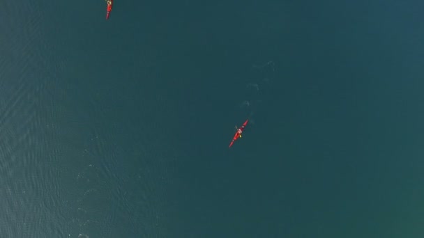 Vue Aérienne De Kayak De Mer — Video