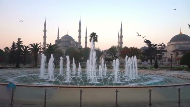 Istanbul Turkiet Sultan Ahmet Distriktet — Stockvideo