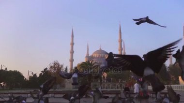 İstanbul Sultan Ahmet İlçesi