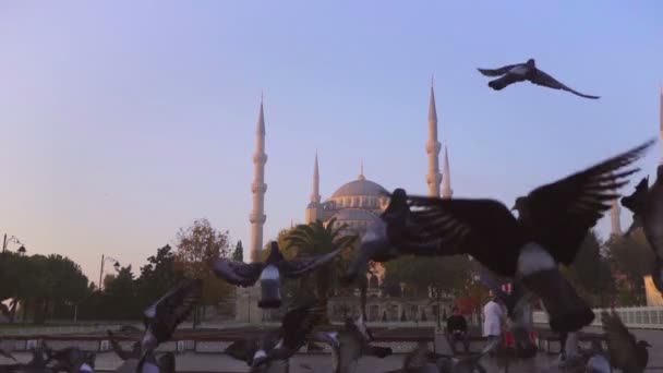 Istanbul Turchia Sultan Ahmet District — Video Stock