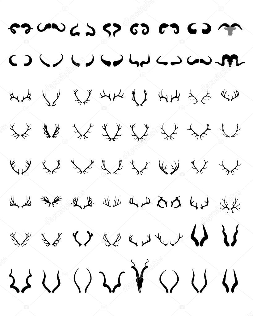 silhouettes of different  horns 