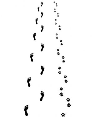 ayak ve köpek pençeleri