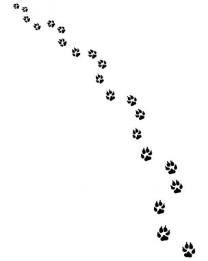 Ayak izleri köpek, çevirmek doğru ya da sol