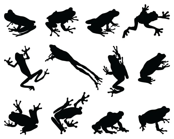 白色背景上青蛙的黑色轮廓 — 图库矢量图片