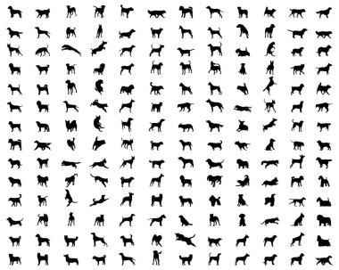 Beyaz arka planda farklı köpek türlerinden siyah siluetler.