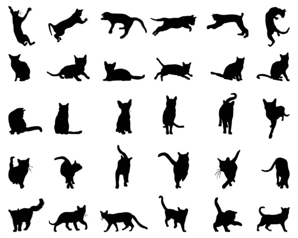 Big Set Cats Silhouettes White Background — Stock Vector