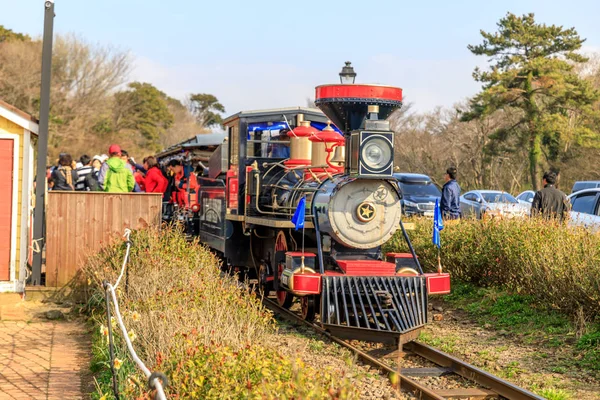 Tren clásico en Eco Land en la isla de Jeju, Corea del Sur —  Fotos de Stock