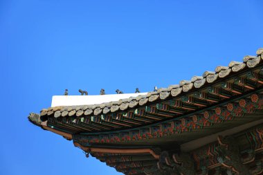Sonbaharda Gyeongbokgung Sarayı, Seoul, Güney Kore