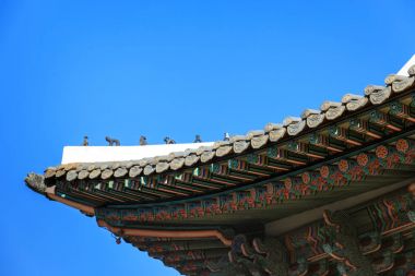 Sonbaharda Gyeongbokgung Sarayı, Seoul, Güney Kore