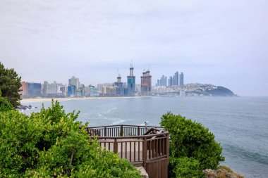 21 Haziran 2017 Dongbaekseom (kamelya Adası) sahil geçit 