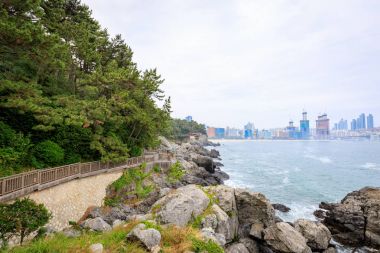 21 Haziran 2017 Dongbaekseom (kamelya Adası) sahil geçit 