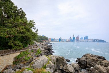 21 Haziran 2017 Dongbaekseom (kamelya Adası) sahil geçit 