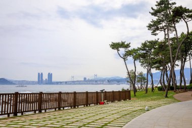 21 Haziran 2017 Gwangan Nurimaru Apec evinden otobüs gördüm Köprüsü