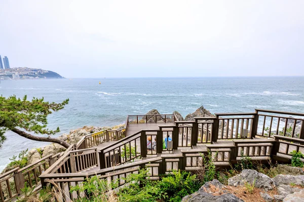 2017 年 6 月 21 日栢 (椿の島) の海岸の通路 — ストック写真