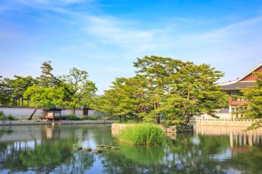 Güney Kore, Seul 'deki gyeongbokgung Sarayı