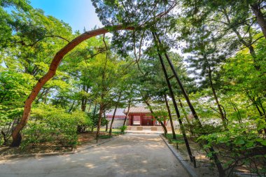 Jongmyo tapınak 17 Haziran 2017 yaz, Seul, Kore - Dünya