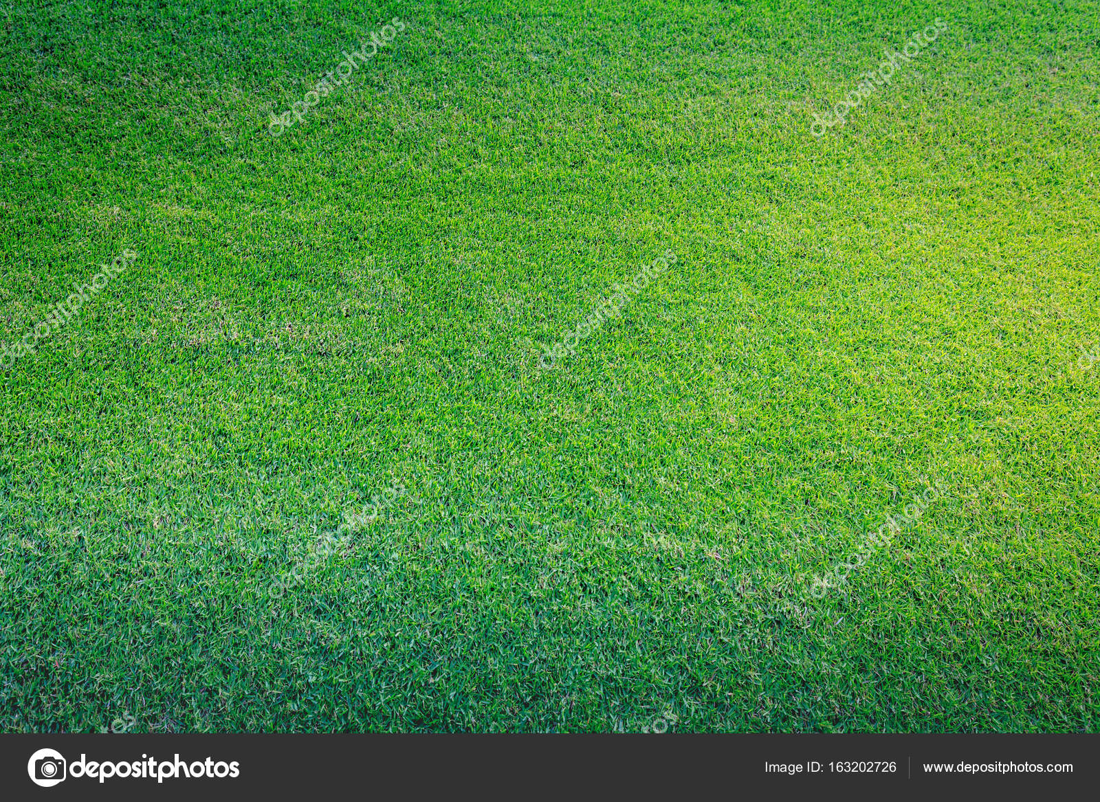 緑の草の背景 ストック写真 C Artyooran Gmail Com 緑の草の背景 ストック写真 C Artyooran Gmail Com