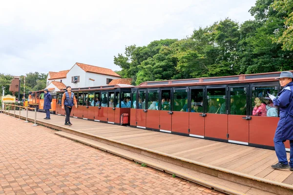 Ecoland, un famoso parque temático el 5 de octubre de 2017 en la isla de Jeju —  Fotos de Stock