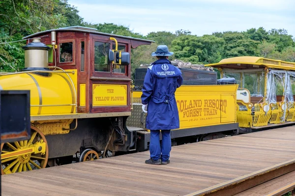 Ecoland, un famoso parque temático el 5 de octubre de 2017 en la isla de Jeju —  Fotos de Stock